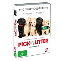Pick of the Litter - A Dogumentary